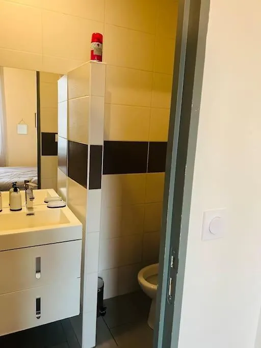 Petit Studio Cosy, Flachet, Rdc Apartment Villeurbanne